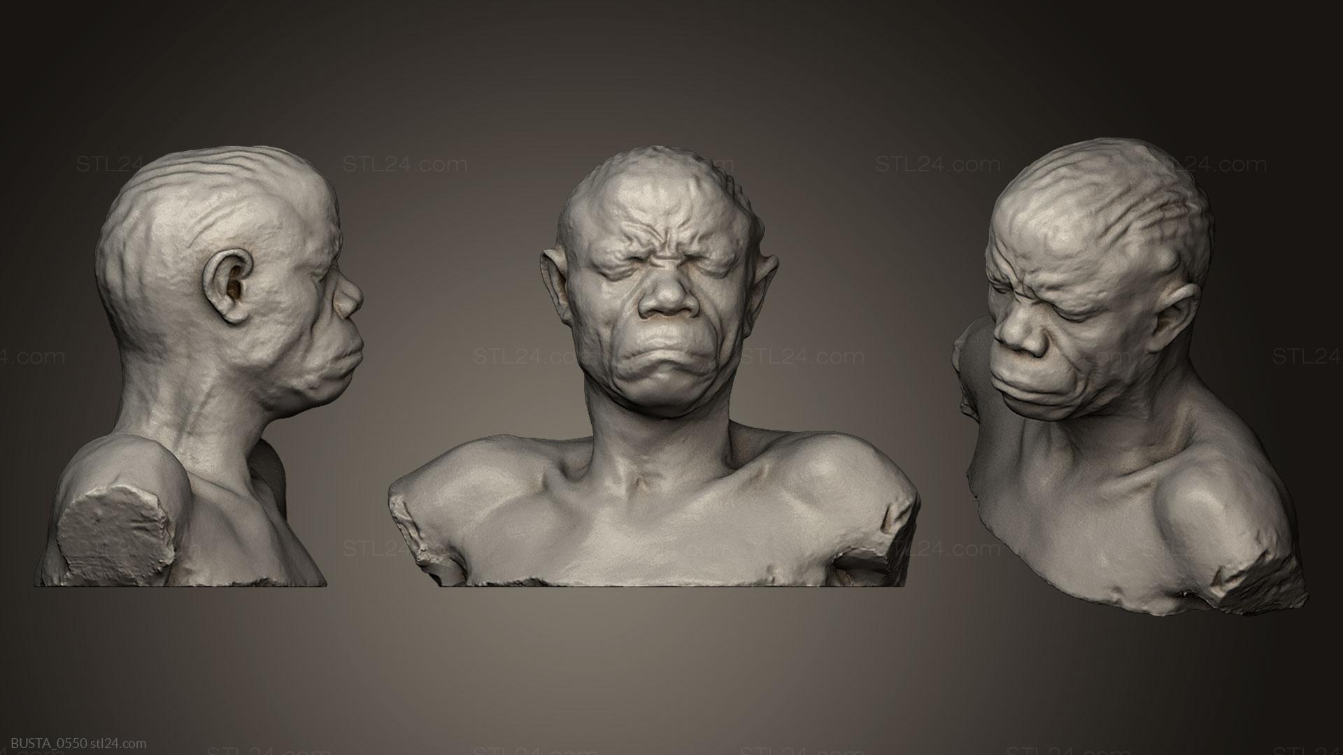 Бюсты и головы античные и исторические (Неизвестный мужчина 17, BUSTA_0550) 3D модель для ЧПУ станка
